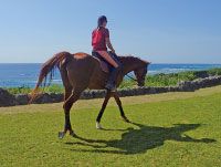 おきなわ乗馬倶楽部